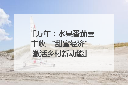 万年：水果番茄喜丰收 “甜蜜经济”激活乡村新动能