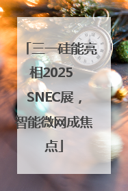 三一硅能亮相2025 SNEC展，智能微网成焦点