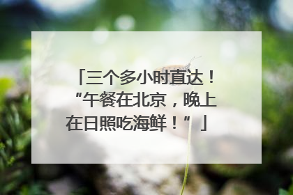 三个多小时直达！“午餐在北京，晚上在日照吃海鲜！”