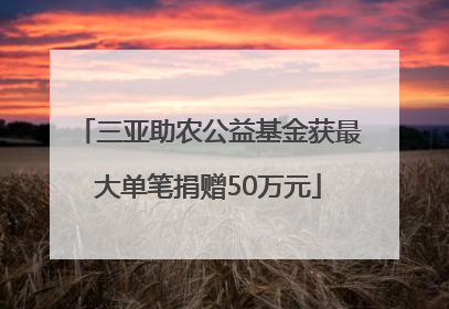 三亚助农公益基金获最大单笔捐赠50万元