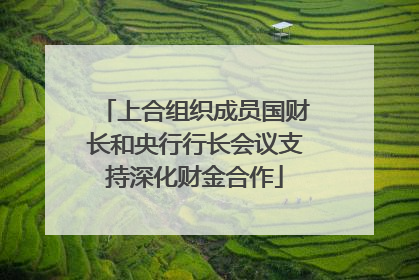 上合组织成员国财长和央行行长会议支持深化财金合作