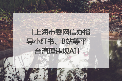 上海市委网信办指导小红书、B站等平台清理违规AI