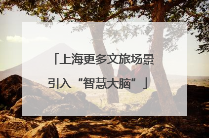 上海更多文旅场景引入“智慧大脑”