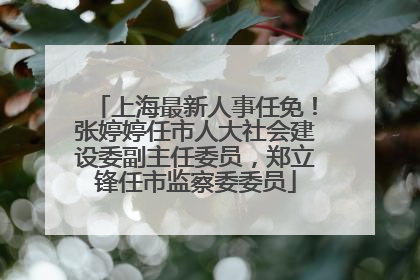 上海最新人事任免！张婷婷任市人大社会建设委副主任委员，郑立锋任市监察委委员
