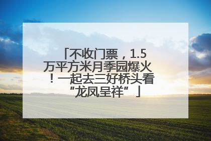 不收门票，1.5万平方米月季园爆火！一起去三好桥头看“龙凤呈祥”
