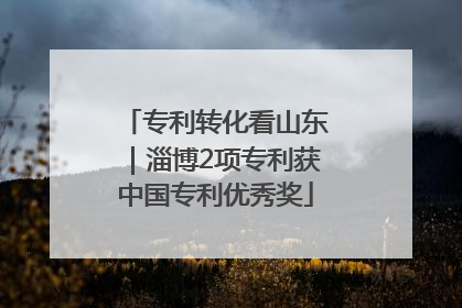 专利转化看山东｜淄博2项专利获中国专利优秀奖