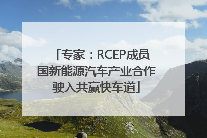 专家：RCEP成员国新能源汽车产业合作驶入共赢快车道