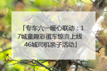 专车六一暖心联动：17城童趣彩蛋车惊喜上线 46城司机亲子活动