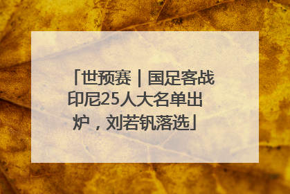 世预赛｜国足客战印尼25人大名单出炉，刘若钒落选