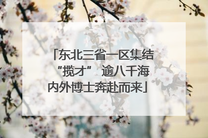 东北三省一区集结“揽才” 逾八千海内外博士奔赴而来