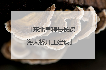 东北里程最长跨海大桥开工建设