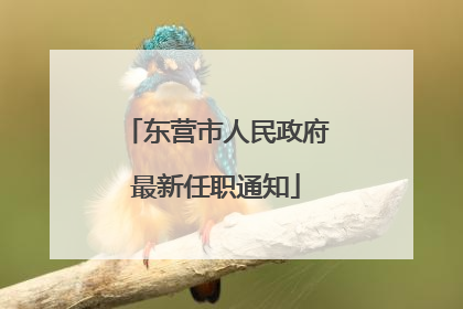 东营市人民政府最新任职通知