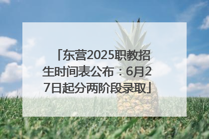 东营2025职教招生时间表公布：6月27日起分两阶段录取