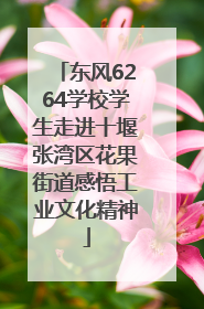 东风6264学校学生走进十堰张湾区花果街道感悟工业文化精神