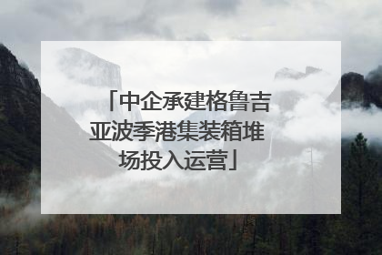 中企承建格鲁吉亚波季港集装箱堆场投入运营