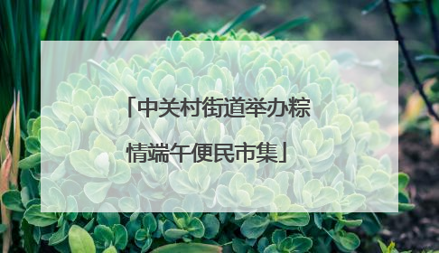中关村街道举办粽情端午便民市集