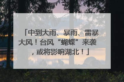 中到大雨、暴雨、雷暴大风！台风“蝴蝶”来袭，或将影响湖北！