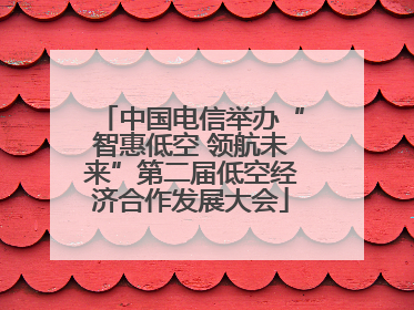 中国电信举办“智惠低空 领航未来”第二届低空经济合作发展大会