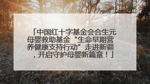 中国红十字基金会合生元母婴救助基金“生命早期营养健康支持行动”走进新疆，开启守护母婴新篇章！