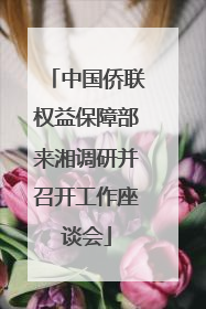 中国侨联权益保障部来湘调研并召开工作座谈会