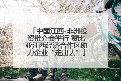 中国江西-非洲投资推介会举行 赞比亚江西经济合作区助力企业“走出去”