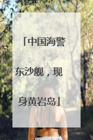 中国海警东沙舰，现身黄岩岛