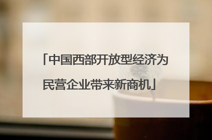 中国西部开放型经济为民营企业带来新商机