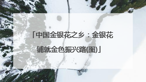 中国金银花之乡：金银花铺就金色振兴路(图)