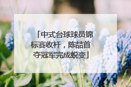 中式台球球员锦标赛收杆，陈喆首夺冠军完成蜕变
