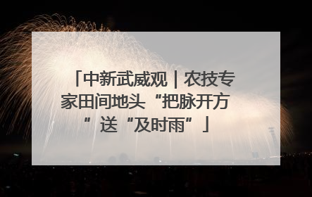 中新武威观｜农技专家田间地头“把脉开方”送“及时雨”