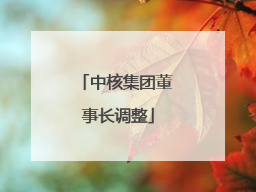 中核集团董事长调整