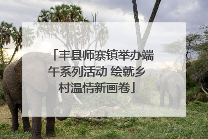 丰县师寨镇举办端午系列活动 绘就乡村温情新画卷