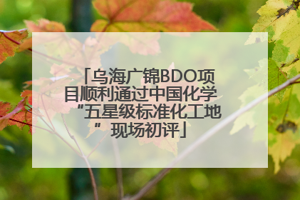 乌海广锦BDO项目顺利通过中国化学“五星级标准化工地”现场初评