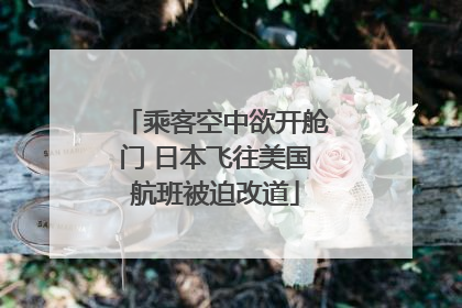乘客空中欲开舱门 日本飞往美国航班被迫改道
