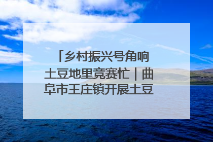 乡村振兴号角响 土豆地里竞赛忙｜曲阜市王庄镇开展土豆收获劳动竞赛