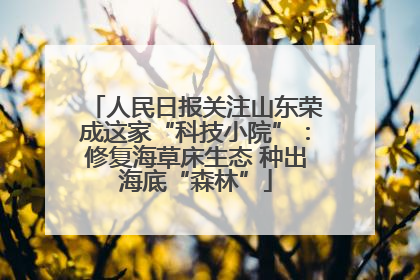 人民日报关注山东荣成这家“科技小院”：修复海草床生态 种出海底“森林”