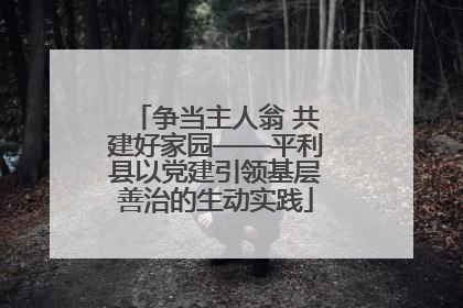 争当主人翁 共建好家园——平利县以党建引领基层善治的生动实践