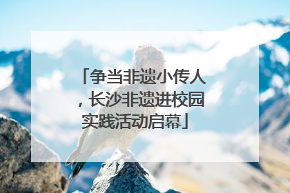 争当非遗小传人，长沙非遗进校园实践活动启幕