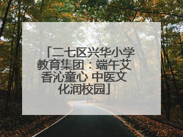 二七区兴华小学教育集团：端午艾香沁童心 中医文化润校园