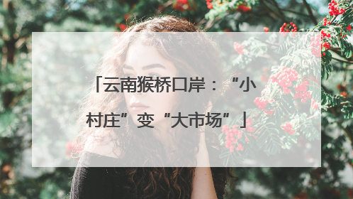 云南猴桥口岸：“小村庄”变“大市场”