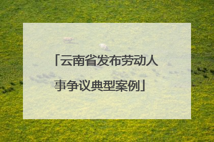 云南省发布劳动人事争议典型案例