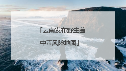 云南发布野生菌中毒风险地图