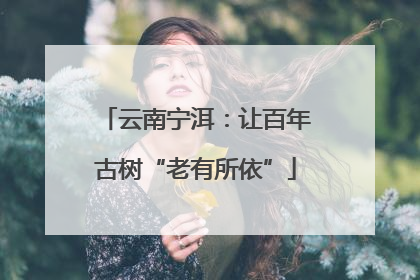 云南宁洱：让百年古树“老有所依”