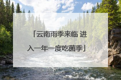 云南雨季来临 进入一年一度吃菌季