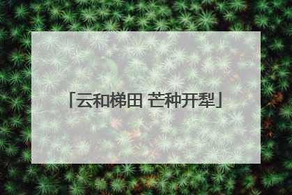 云和梯田 芒种开犁