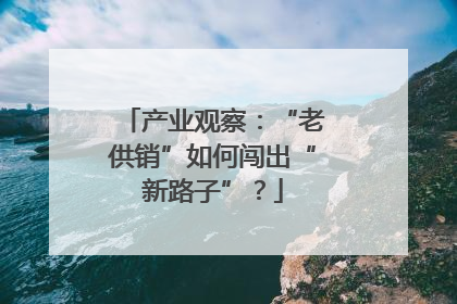 产业观察：“老供销”如何闯出“新路子”？