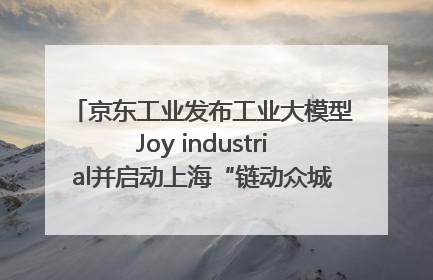 京东工业发布工业大模型Joy industrial并启动上海“链动众城 万亿降本”计划