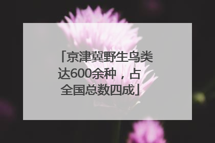 京津冀野生鸟类达600余种，占全国总数四成