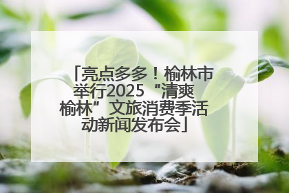 亮点多多！榆林市举行2025“清爽榆林”文旅消费季活动新闻发布会
