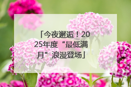 今夜邂逅！2025年度“最低满月”浪漫登场